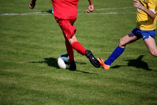 米兰体育APP下载-世界台球联赛中国队勇夺团体亚军，世界台球联赛中国队勇夺团体亚军是谁