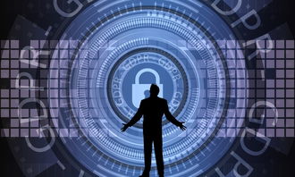 米兰全站APP正式版下载-中国篮球联赛赛事安全管理优化与执行研究，篮球赛事安全风险