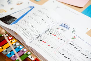 ac米兰官方网站-中小学体育教师继续教育体系建设与实施研究，小学体育继续教育考试试题及答案