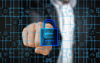 米兰全站APP下载-校园体育安全管理策略研究，校园体育安全管理策略研究报告